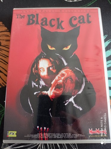Dvd the black cat - dvd, lucio