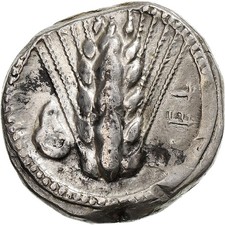 Lucania, Nomos, env. 470-440 av. J.-C., métapontum, argent, SS, HGC:1-1029