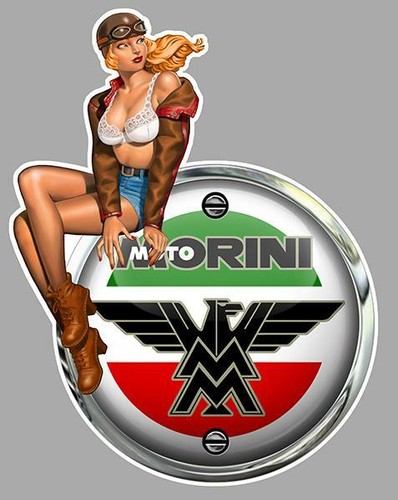 Moto morini left pin - pin, up