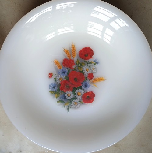 Assiettes creuses arcopal - assiettes,