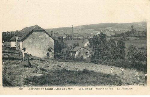 Jura environs saint amour - jura,