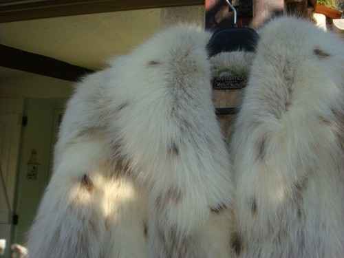 Magnifique manteau fourrure - manteau,