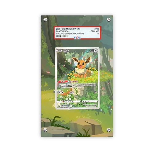 Evoli cbb2c vitrine - cbb2c, 15/15