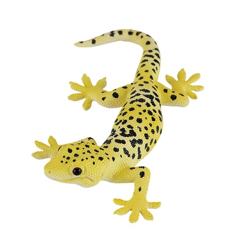 Mojo léopard gekko 381077 - léopard,