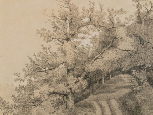 Dessin xixe 1830 crayon - xixe,