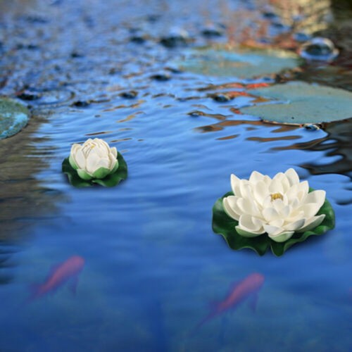 Pièces lot faux lotus - faux,