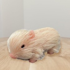 Jouet cochon en Silicone