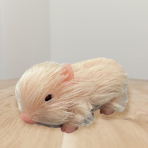 Jouet cochon silicone - jouet,