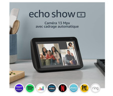 Assistant vocal Ecran