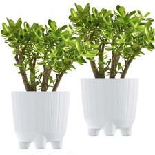 Pot fleurs de - pot,