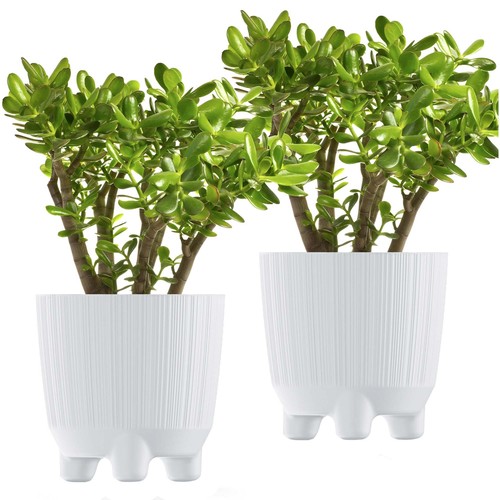 Pot fleurs de - pot,