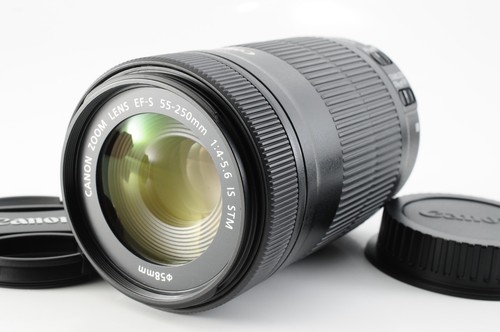 Near mint objectif canon - mint],