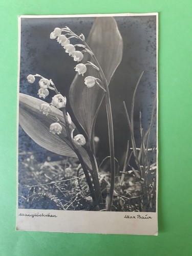 Carte postale des - carte, brins