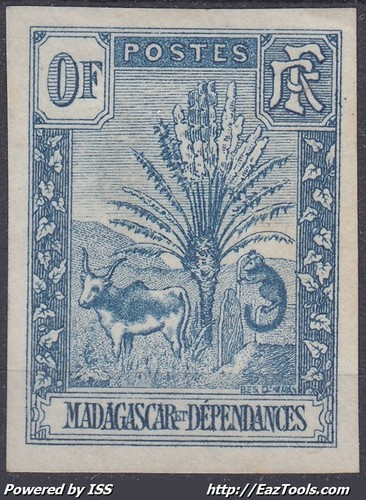 Madagascar zebu ravenala essai - madagascar,