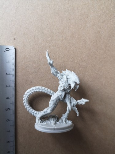 Devoli ridgewalker - devoli,