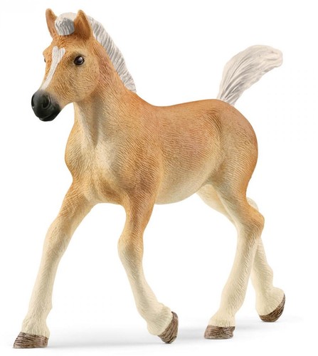 Schleich poulain haflinger - poulain,