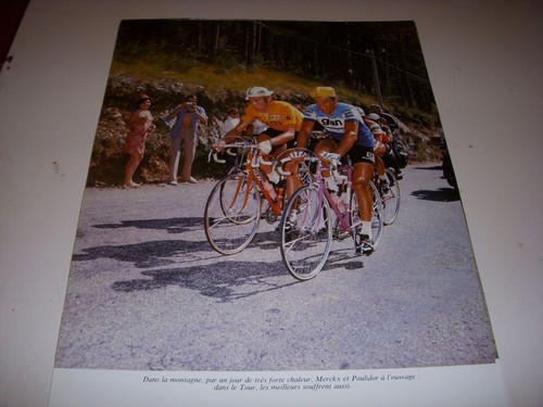 Cyclisme coupure livre t624b - livre,