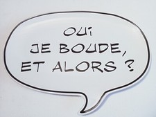 Plat Parc Astérix -