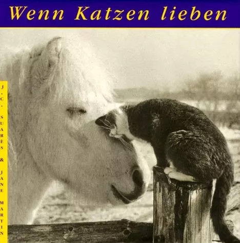 Wenn katzen lieben c - wenn, j