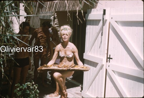 Brigitte bardot sami frey - bardot,