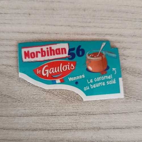 Magnet aimant gaulois - aimant, gaulois'