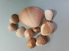 BEAU PETIT LOT n° 2 DE 9