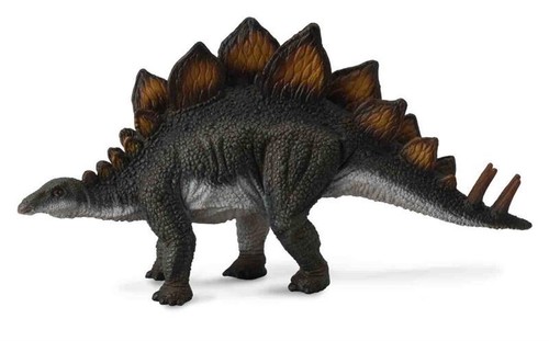 Collect stegosaurus dinosaur - a,