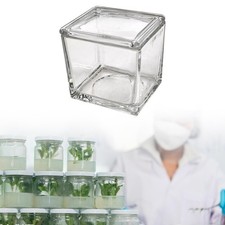 Rectangle de coloration de verre de laboratoire pot multipurpose accessoires