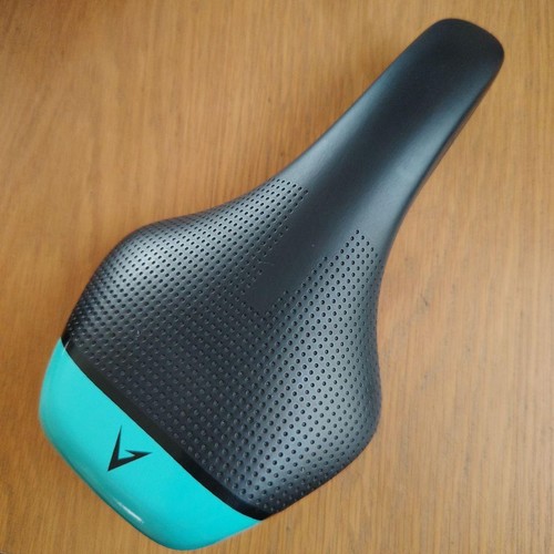 Bianchi nomic saddle - bianchi, celeste