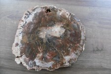 Ancienne tranche de bois