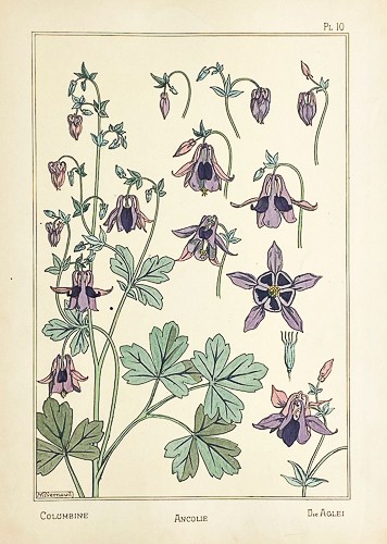 Original 1896 art - 1896, nouveau