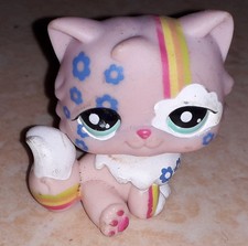 Petshop chat persan 1436