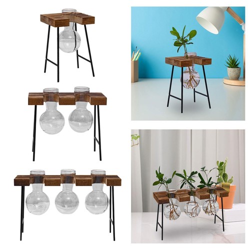 Vase bulbe terrarium pot - terrarium,,