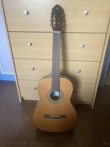 Eko vibra150cw guitare - -,