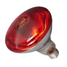 Lampe Chauffante avec Lumière Infrarouge Rouge pour Poulets Reptile Couveuse Pr
