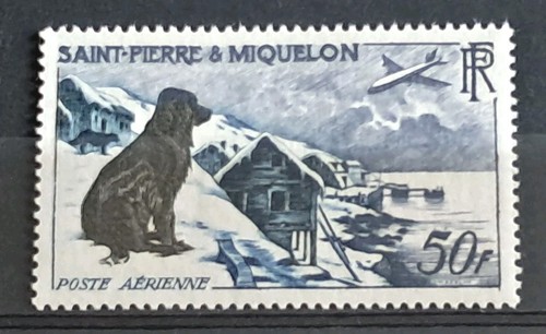 Saint pierre miquelon - saint,