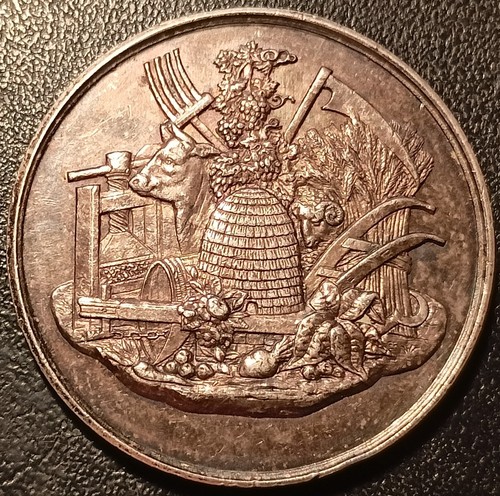 Médaille argent fontenay le - argent,
