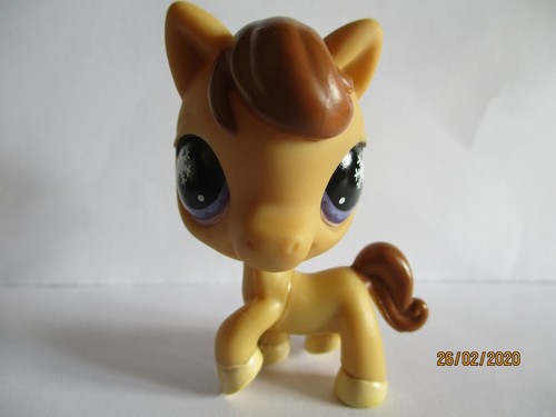 Petshop cheval 684 - petshop, /