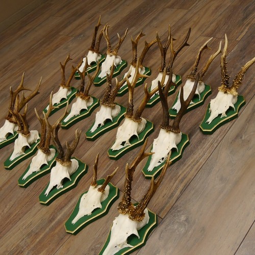 Pièces bois cerf sur - de, de