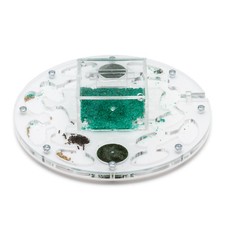 Fourmiliere Ant Farm Circle