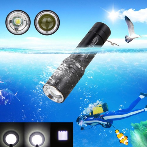 Lampe poche plongée - de,