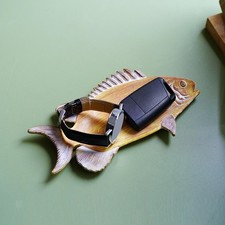 Plat à bibelots décoratif