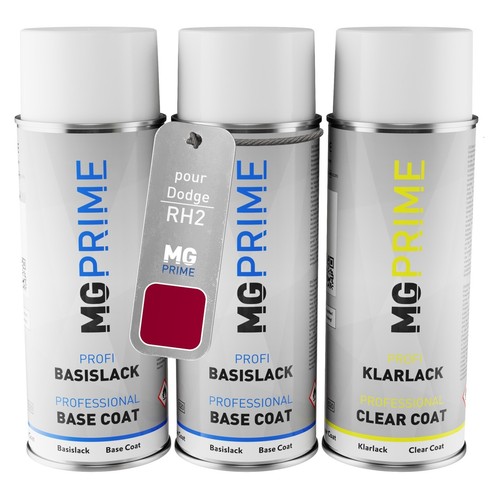 Peinture voiture kit bombe