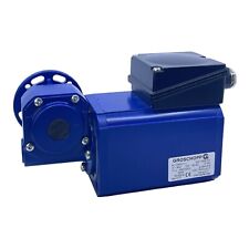 Groschopp WK1695101 Moteur