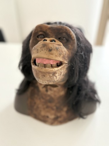 Wowwee chimpanzé - wowwee,