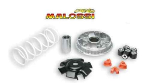 Variateur malossi piaggio - malossi,