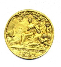 Rare Grande médaille du XIXème siècle bronze dorée Repeuplement des eaux de la F