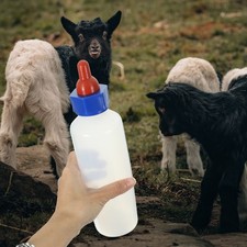  Animal Nursing Feeder Child