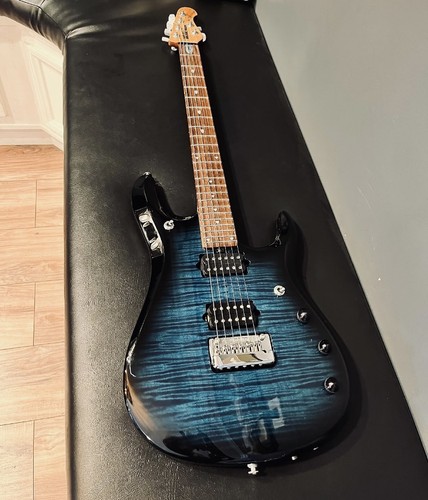 Rare 2014 ernie ball - music, man