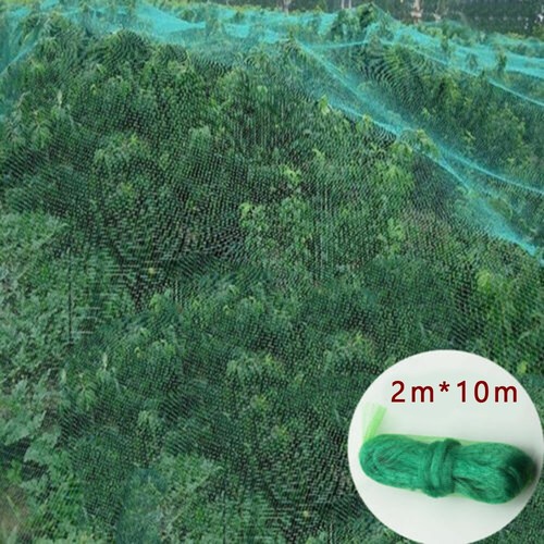 Filet anti oiseaux 10m - *,
